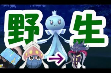 【ポケモンGO】野生のプルリル湧き！特殊進化ポケモンも実装？【レジェンドシーズン最新情報】
