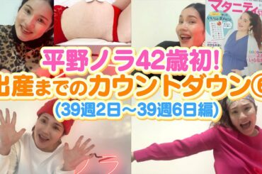 【平野ノラ42歳初】バブ子出産！までカウントダウン⑥（39週2日〜39週6日編）