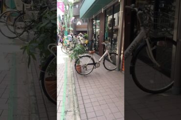 科捜研の女、現場検証