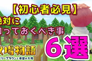 【牧場物語 オリーブ 攻略】序盤の金策やおすすめの道具アップグレード、料理効果、寝る時間や体力回復など！初心者必見の役立つ小ネタまとめてみたよ【オリーブタウンと希望の大地】