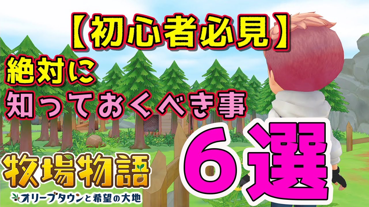 【牧場物語 オリーブ 攻略】序盤の金策やおすすめの道具アップグレード、料理効果、寝る時間や体力回復など!初心者必見の役立つ小ネタまとめてみたよ【オリーブタウンと希望の大地】 【牧場物語 オリーブ 攻略】序盤の金策やおすすめの道具アップグレード、料理効果、寝る時間や体力回復など!初心者必見の役立つ小ネタまとめてみたよ【オリーブタウンと希望の大地】