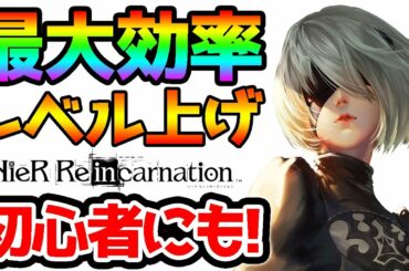 【初心者にも】最高効率のレベル上げ法＆周回場所！戦力78000！【ニーアリィンカーネーション Nier Reincarnation 攻略】