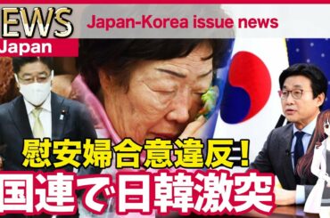国連で日韓激突?!日韓慰安婦合意違反！韓国政府の“お粗末な主張”に日本政府が自制するよう要求［Japan news］Japan-Korea issue news