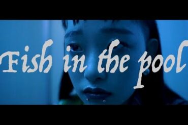 短編映画''Fish in the pool''