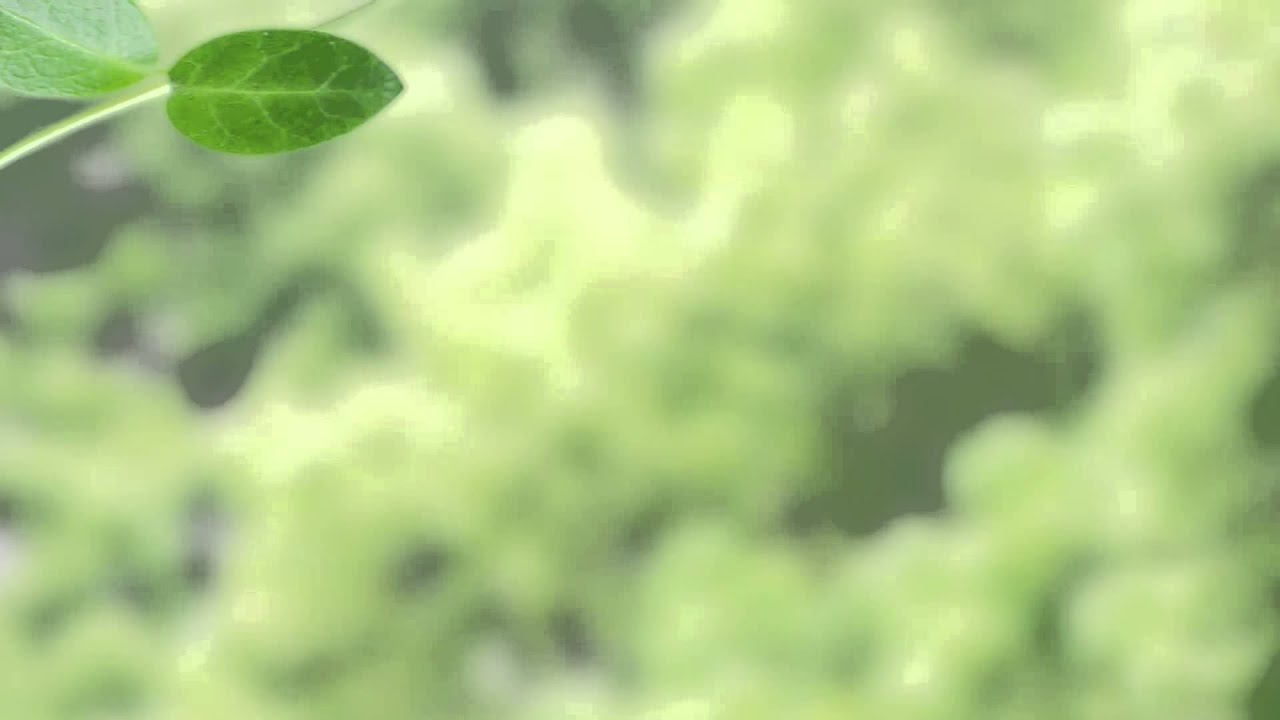 幸福の予感～Blessing is coming～　Original music