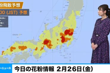 今日の花粉情報 2月26日（金）