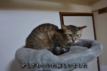 福島県沖で最大震度6強の地震が発生！ビビりました…