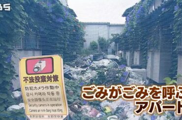 【特集】古アパートが不法投棄で“ゴミの山”に...夜間取材で『花火』投げ込む危険行為も確認　ナゼ何年も放置？（2020年8月6日）