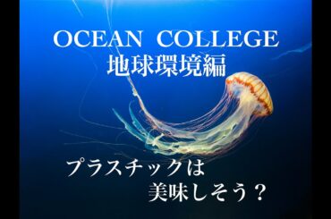 【プラスチックは美味しそう？】オーシャンカレッジ 地球環境編Vol.2