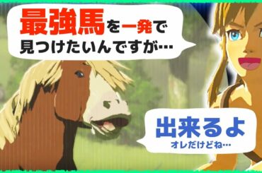 [攻略] 厳選！スピード５や最強馬の捕まえ方 [ゼルダの伝説 ブレスオブザワイルド]