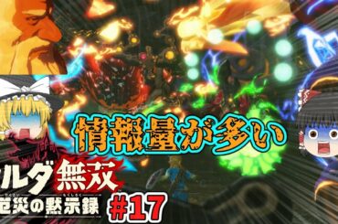 [ゼルダ無双 厄災の黙示録#17]情報量多すぎィ！！！姫さん覚醒編[ゆっくり実況]
