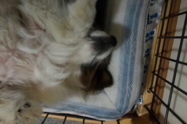 今日のミッチー（2020年6月19日）