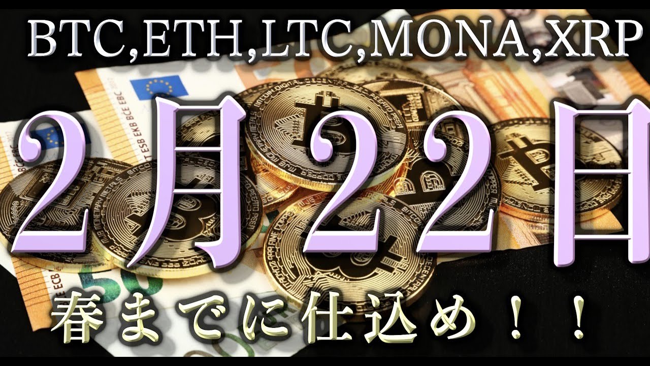 【BTC,ETH,LTC,MONA,XRP】春までに仕込め！ドルコスト平均法で利益出す