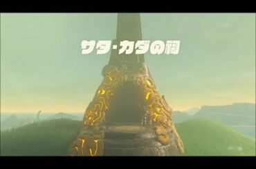 【DLCラネール地方】サタ・カダの祠攻略　ゼルダの伝説ブレスオブザワイルド