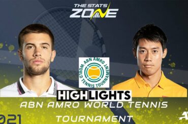 錦織 圭 vs チョリッチ ハイライト