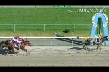 【競馬ファンファーレ耐久】岩手競馬旧重賞ファンファーレ