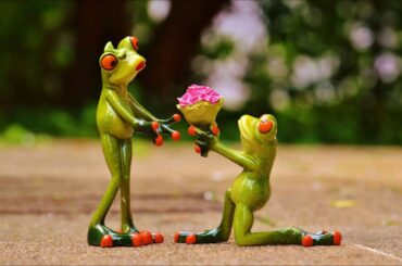 MARRY ME？_Dreams come true