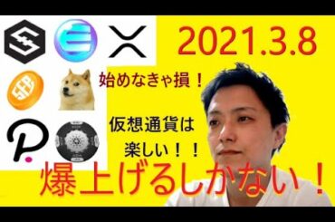 仮想通貨IOST,エンジンコイン,XRP,SafePal,DOGE,ポルカドット,ADA2021年3月8日チャート分析