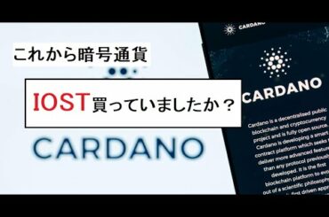 【暗号通貨】IOST：日本上場「これを狙い撃つ！」
