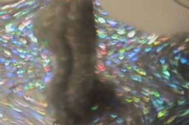 りあん／『、(てん)―無限―∞』