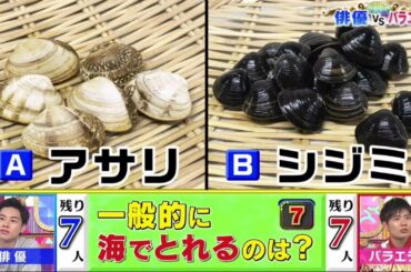 潜在能力テスト【城田優率いる俳優軍VSバラエティ!】字