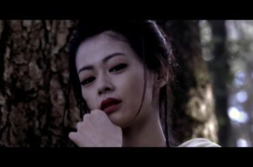 【SINOBI】伊賀vs甲賀。仲間由紀恵、 沢尻エリカ、 オダギリ ジョー、 原作:山田風太郎 監督:下山天。 【SINOBI】伊賀vs甲賀。仲間由紀恵、 沢尻エリカ、 オダギリ ジョー、 原作:山田風太郎 監督:下山天。