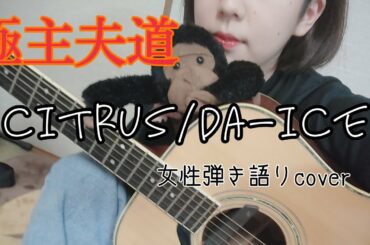 CITRUS/Da-iCE 弾き語りcover #極主夫道