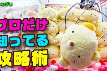 【超簡単!?】プロだけが知ってるクレーンゲーム攻略術!!【UFOキャッチャー】