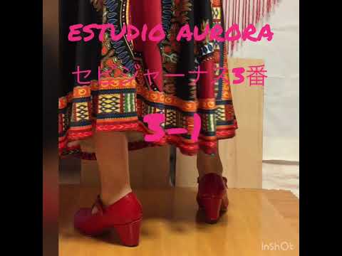 セビジャーナス3番。パートに分けて撮影。