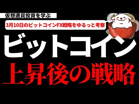 【仮想通貨ビットコイン,LTC,DOT,SUSHI】ビットコインは力強い上昇で最高値更新を狙えるフェーズへ突入!この後の戦略について考察 【仮想通貨ビットコイン,LTC,DOT,SUSHI】ビットコインは力強い上昇で最高値更新を狙えるフェーズへ突入!この後の戦略について考察