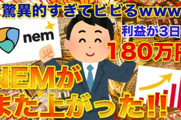 【仮想通貨】NEMの上昇が止まらない話！【暗号資産】