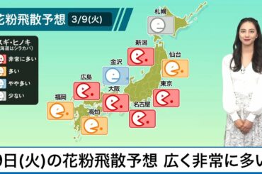 3月9日(火)の花粉飛散予想  各地対策が必須