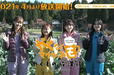 「やくならマグカップも-やくもの放課後-」ティザーPV