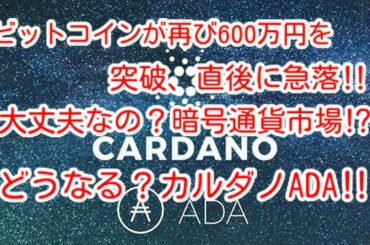 【暗号通貨市場】ビットコインが再び600万円を突破、直後に急落‼️大丈夫なの？暗号通貨市場⁉️どうなる？カルダノADA‼️