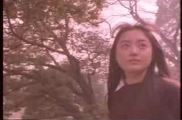 Yukie Nakama - Moonlight To Daybreak