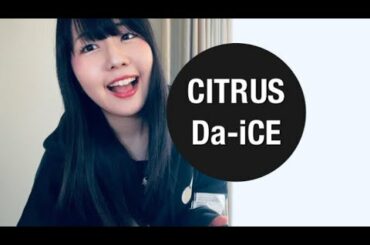 【極主夫道 主題歌】CITRUS＊Da-iCE 歌ってみた