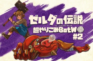 夜襲の英傑｜すべてを越えた超やりこみBotW #2