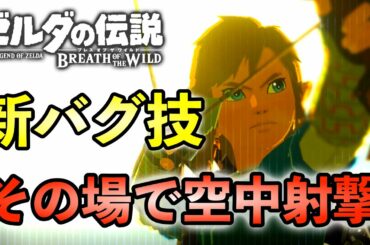 驚愕の新バグ技が発見されたようです【ゼルダの伝説 ブレス オブ ザ ワイルド】