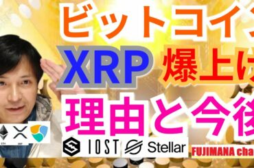 【仮想通貨ビットコイン, リップル, ライトコイン, ETH, NEM, IOST】BTC＆XRP爆上げ‼️理由と今後