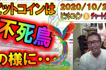 【仮想通貨・暗号資産】ビットコインは不死鳥!?下落と思わせ上昇を続ける!!