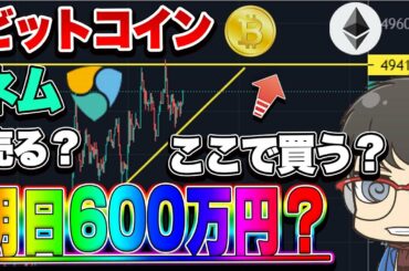 【仮想通貨】誰でも簡単にできるトレード以外の稼ぎ方について　ビットコイン　ネム