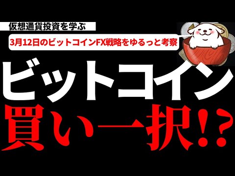 【仮想通貨ビットコイン,ネム,IOST,ENJIN】ビットコインの地合いの強さは健在!まだまだ買い一択の戦略でOKです! 【仮想通貨ビットコイン,ネム,IOST,ENJIN】ビットコインの地合いの強さは健在!まだまだ買い一択の戦略でOKです!