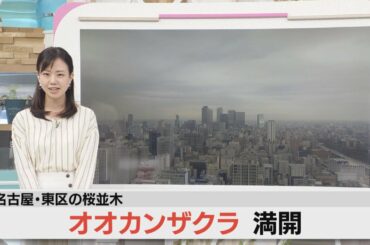 天気予報（3/12昼）