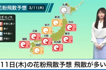 3月11日(木)の花粉飛散予想