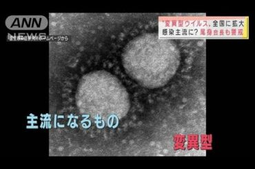 変異型ウイルス全国に拡大　気になる発症した年齢(2021年3月10日)