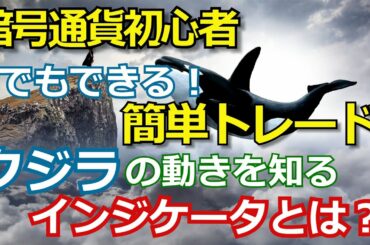 暗号通貨初心者でも出来る簡単トレード手法［クジラの動きを知るインジケータとは？］