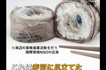 【あなたはプラスチックのお寿司を食べれますか？】海洋汚染プラスチックゴミ問題