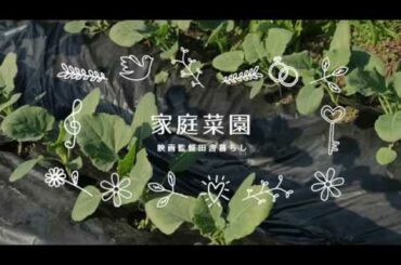 映画監督、家庭菜園を始める【その1】