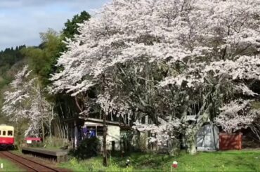 Haru yo koi (春よ、こい)作曲/作詞：松任谷由実   Composição/Letra: Yumi Matsutoya Lyrics romaji
