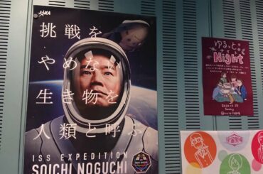 宇宙劇場と菊花大会